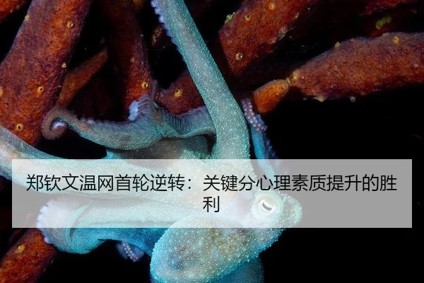 zheng-qin-wen-wen-wang-shou-lun-ni-zhuan-guan-jian-fen-xin-li-su-zhi-ti-sheng-de-sheng-li-1-561.jpg