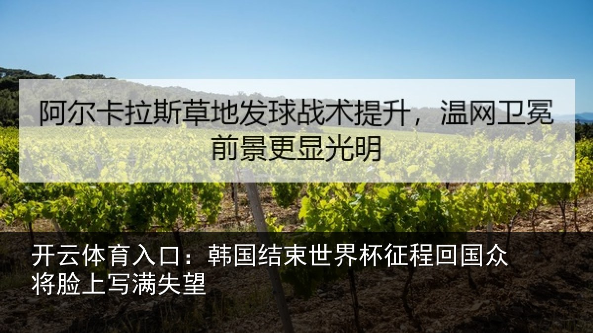 开云体育入口：韩国结束世界杯征程回相关情况望