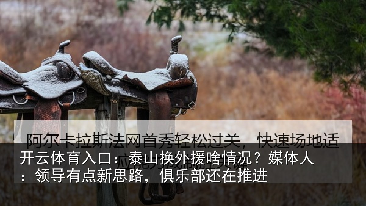 开云体育入口：泰山换外援啥情况？媒体人：领导有点新思路，俱乐部还在推进