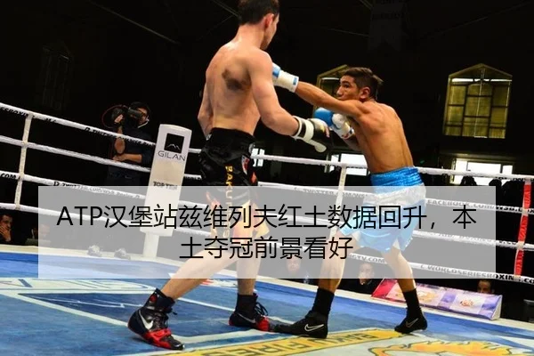 ATP汉堡站兹维列夫红土数据回升，本土夺冠前景看好
