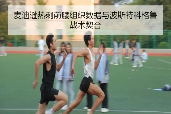 麦迪逊热刺前腰组织数据与波斯特科格鲁战术契合