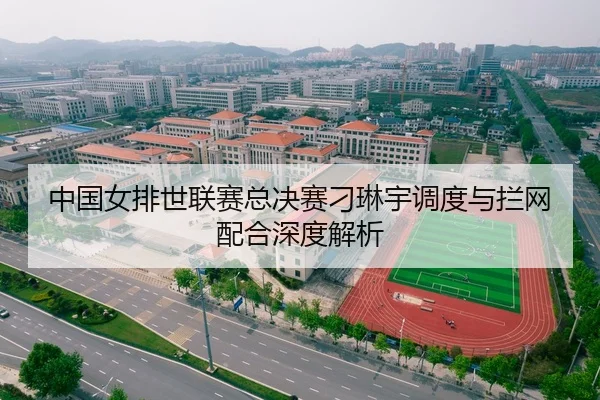 中国女排世联赛总决赛刁琳宇调度与拦网配合深度解析