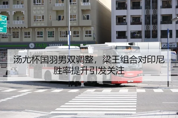 tang-you-bei-guo-yu-nan-shuang-tiao-zheng-liang-wang-zu-he-dui-yin-ni-sheng-lv-ti-sheng-yin-fa-guan-zhu-3-403.jpg