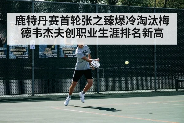 鹿特丹赛首轮张之臻爆冷淘汰梅德韦杰夫创职业生涯排名新高