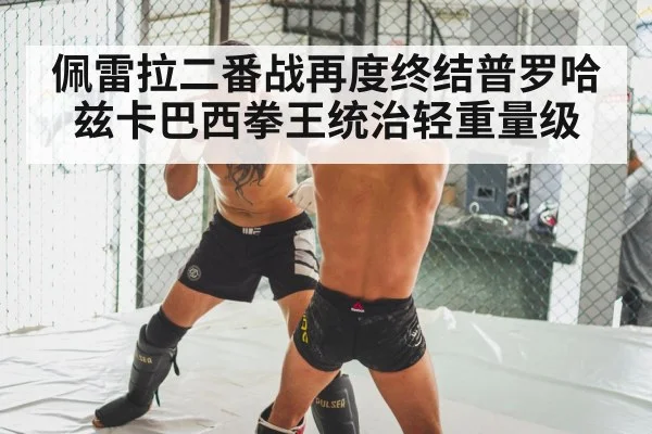 佩雷拉二番战再度终结普罗哈兹卡巴西拳王统治轻重量级