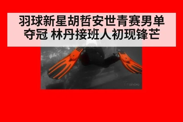 羽球新星胡哲安世青赛男单夺冠 林丹接班人初现锋芒