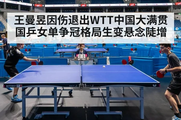 table tennis match action